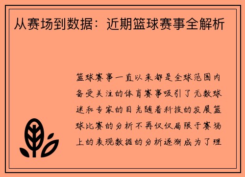 从赛场到数据：近期篮球赛事全解析