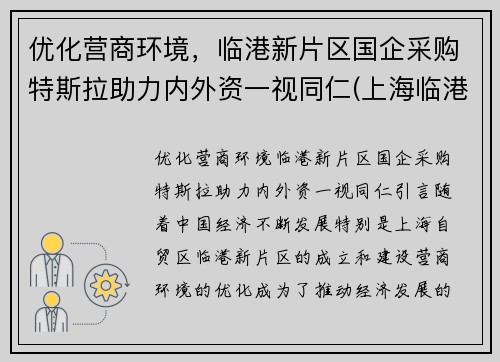 优化营商环境，临港新片区国企采购特斯拉助力内外资一视同仁(上海临港特斯拉配套公司)
